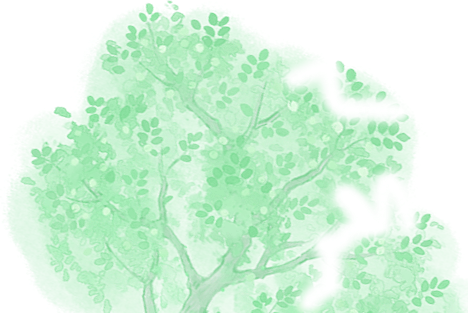 b306effc47ce8447165c31c1